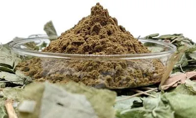 Mikä on epimedium-uute?