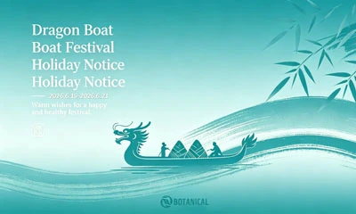Dragon Boat Festival 2026 lomailmoitus