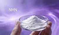 Mikä on paras NMN-lisäosa?